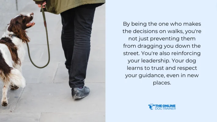 How to Train Dog Not to Bark at Other Dogs: Expert Tips