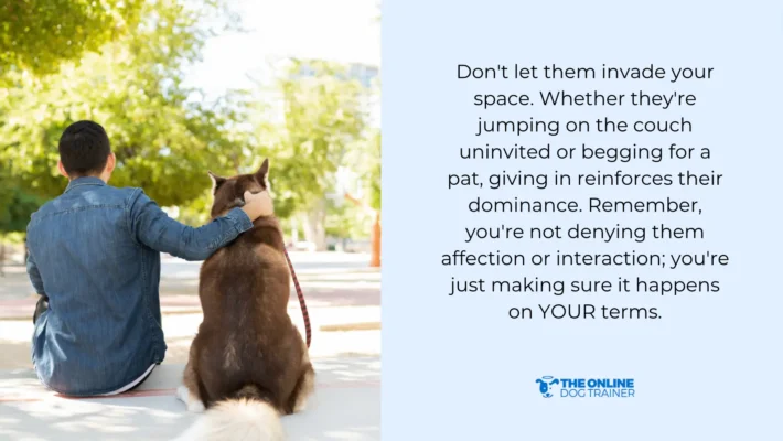 how to stop dog barking