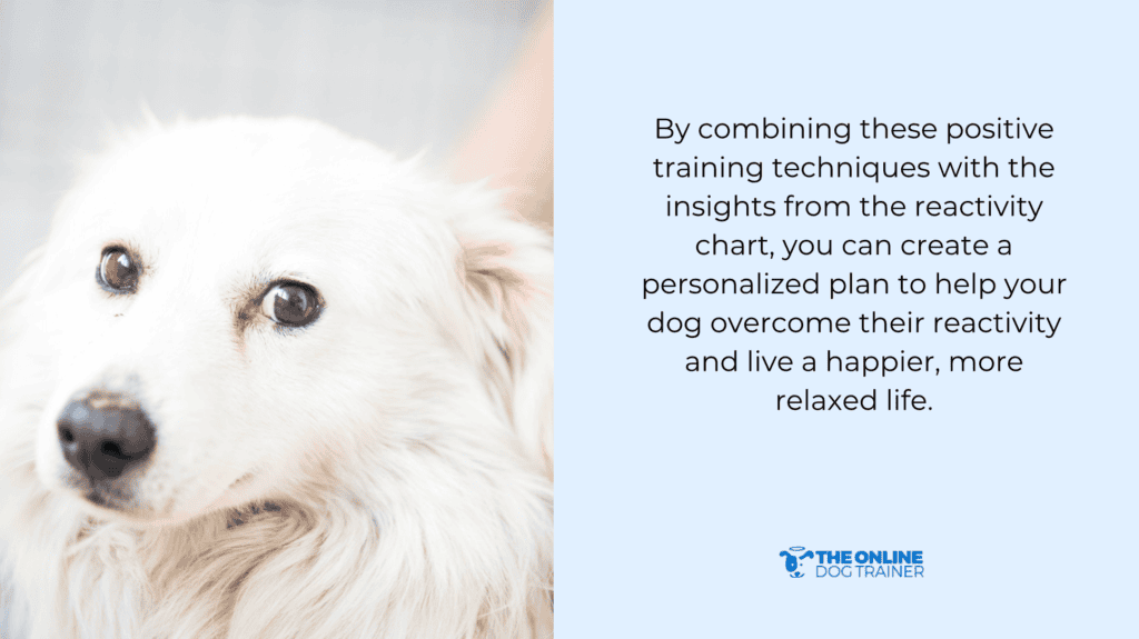 dog reactivity during the walk