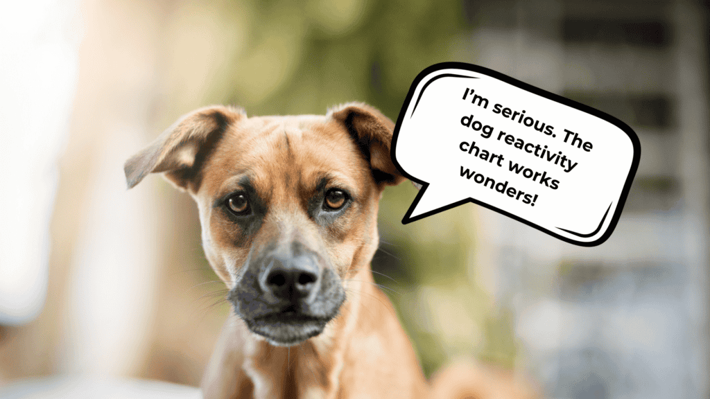reactivity chart for reactive dogs