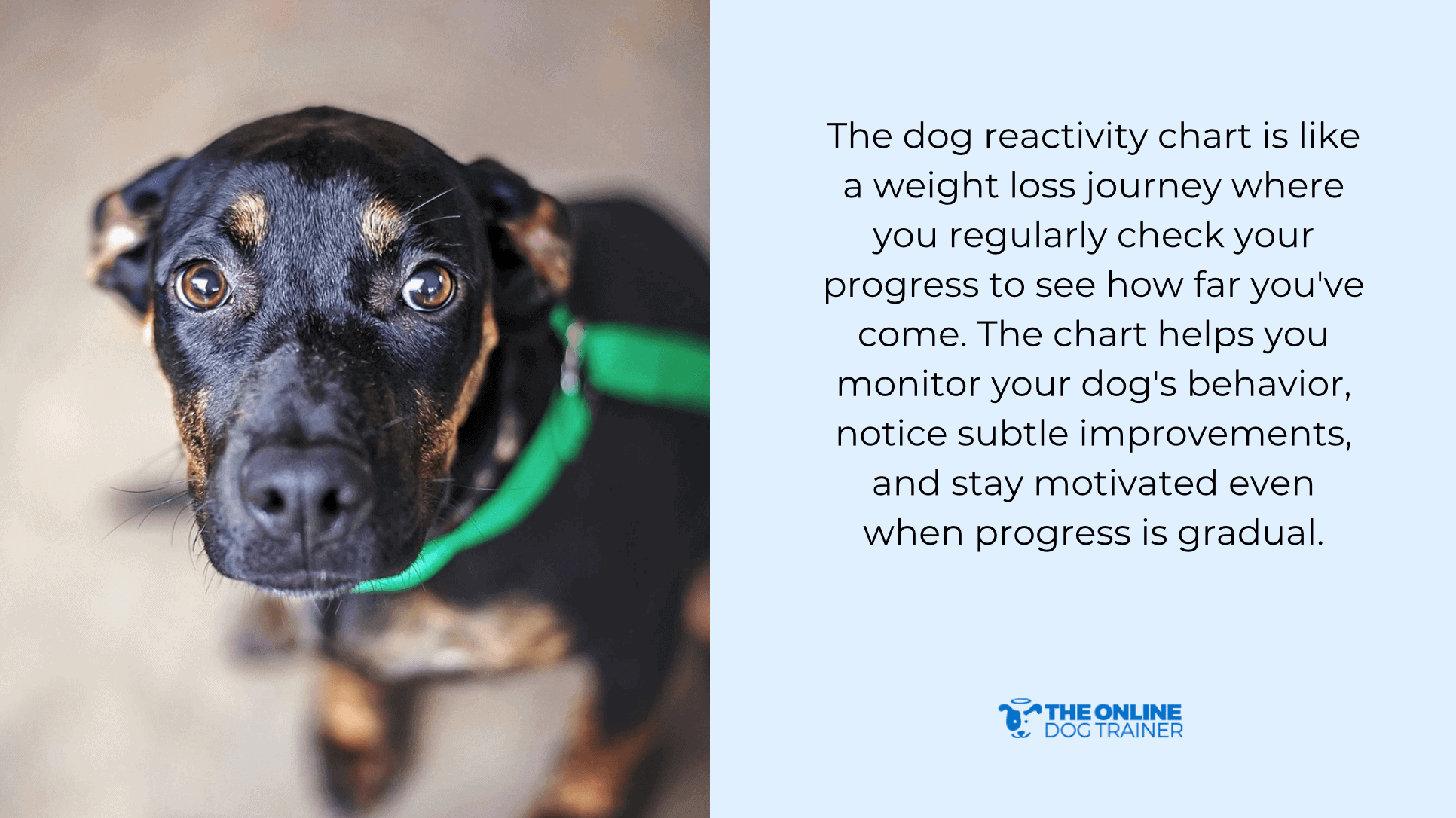 trigger stacking reactivity