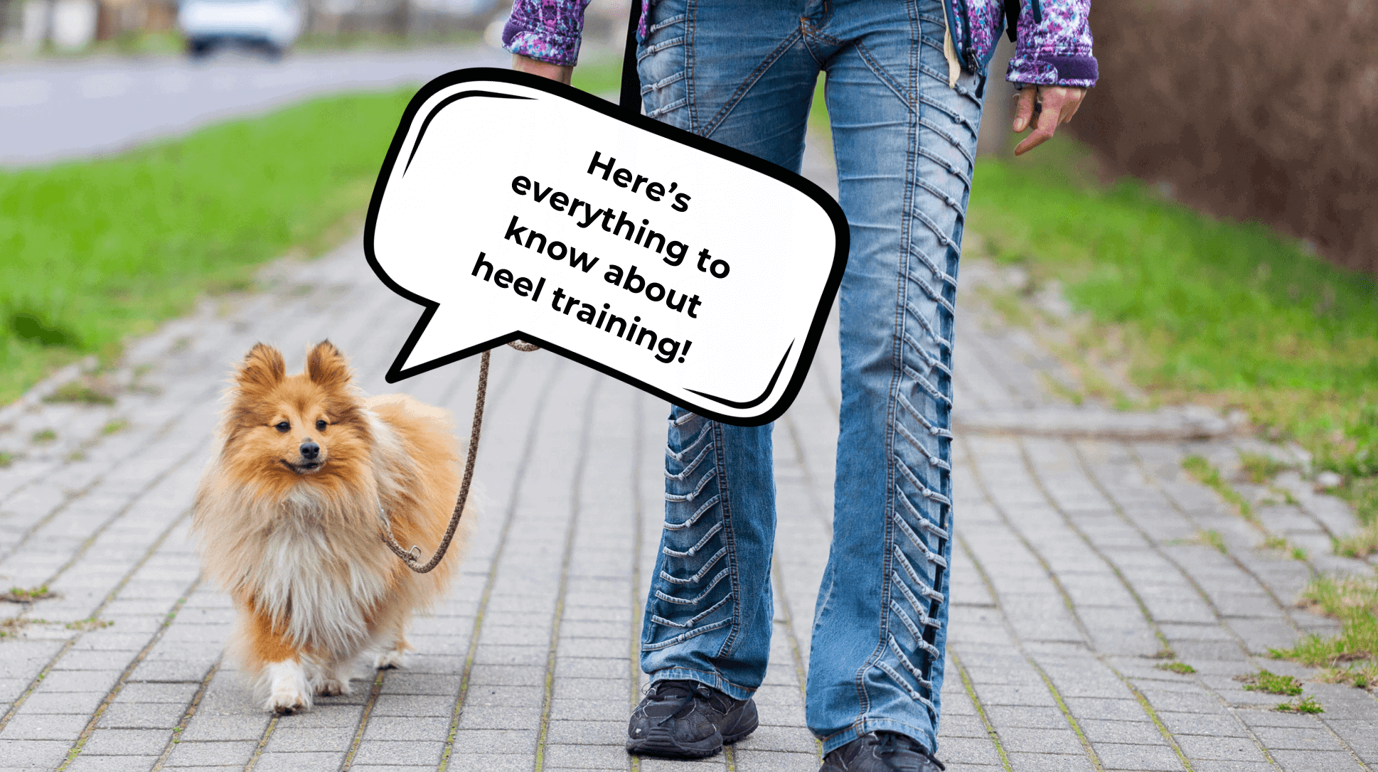 WHAT DOES HEEL MEAN IN DOG TRAINING