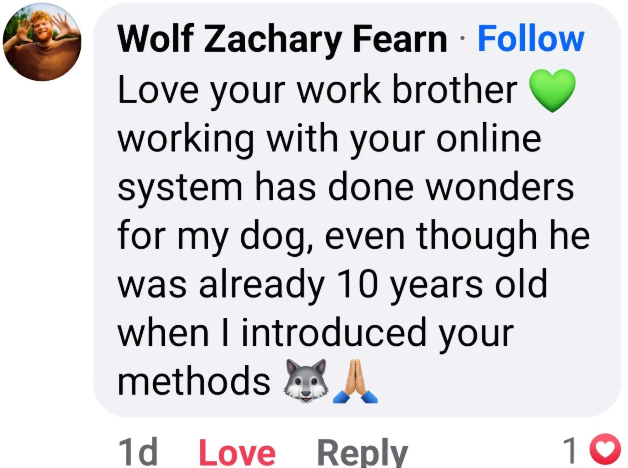 Doggy Dan testimonial by wolf