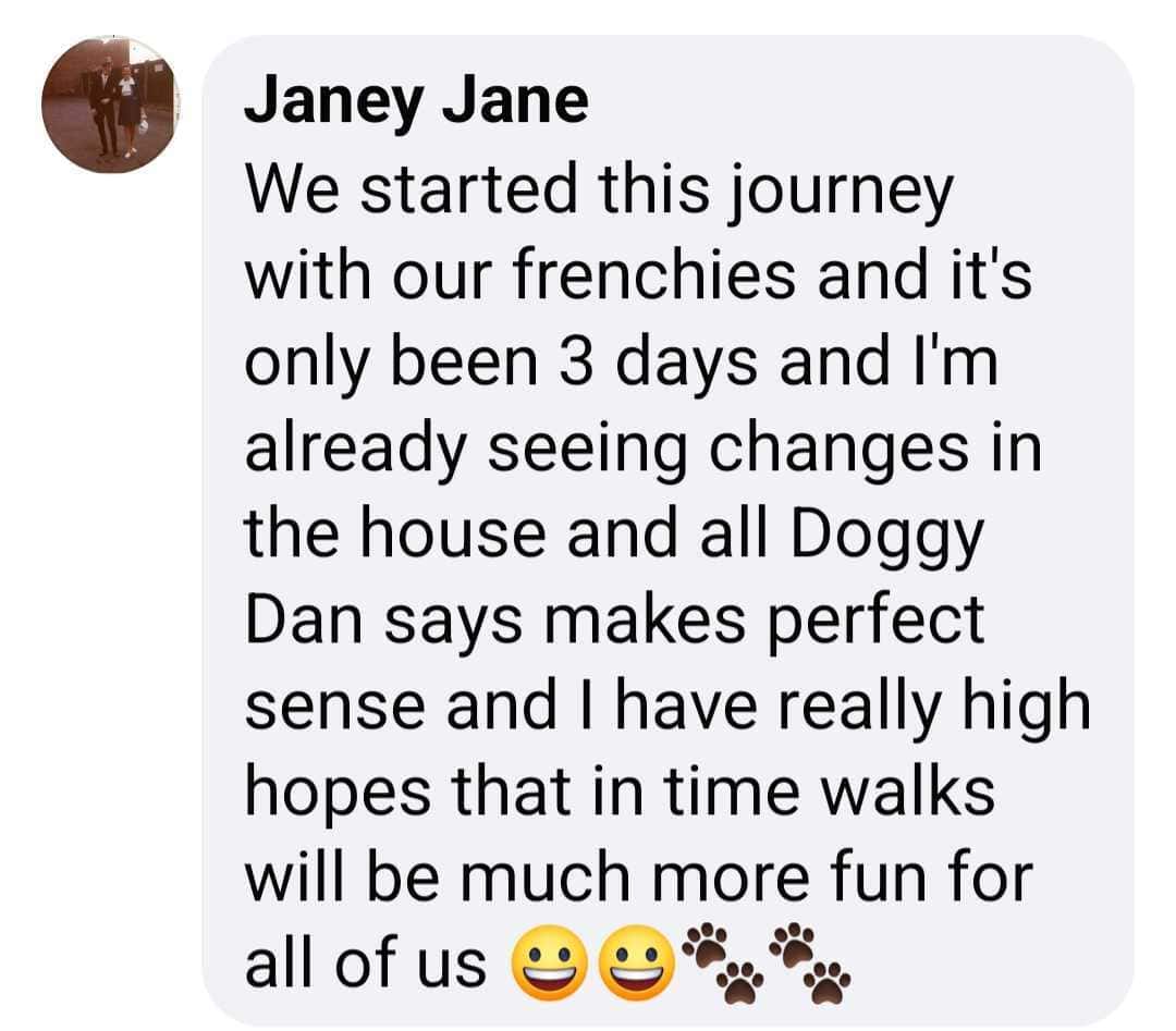 Doggy Dan review