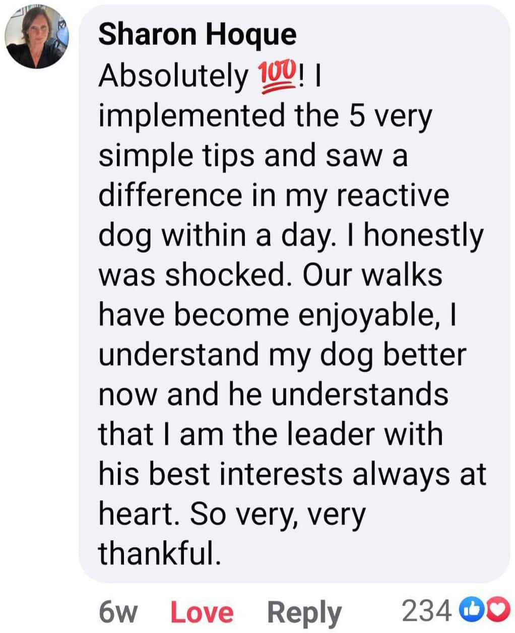 Sharon's Doggy Dan review