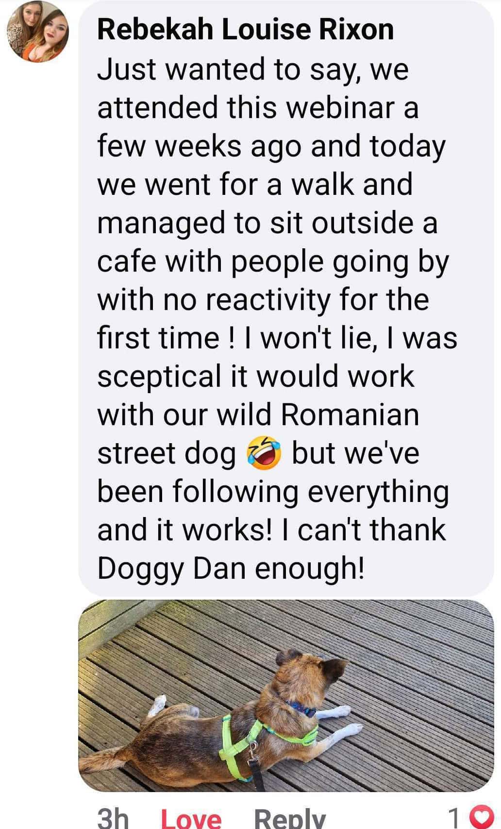 Doggy Dan story by rebeckha