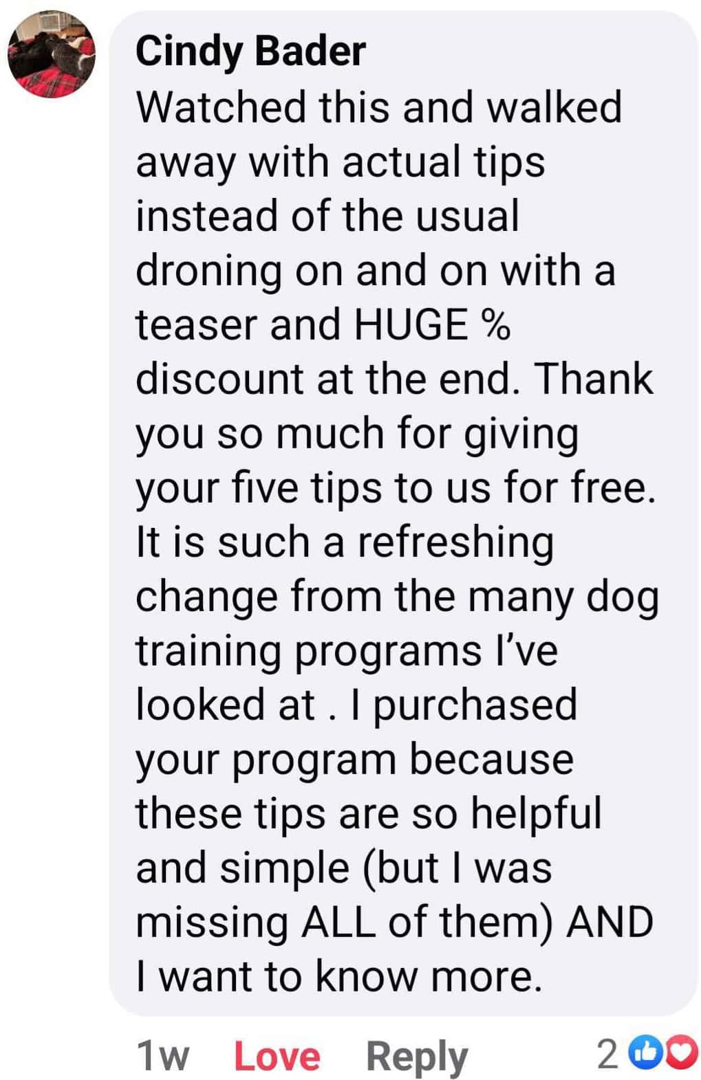 Doggy Dan testimonial by Cindy