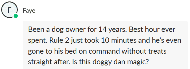 Doggy Dan review saying best hour ever spent