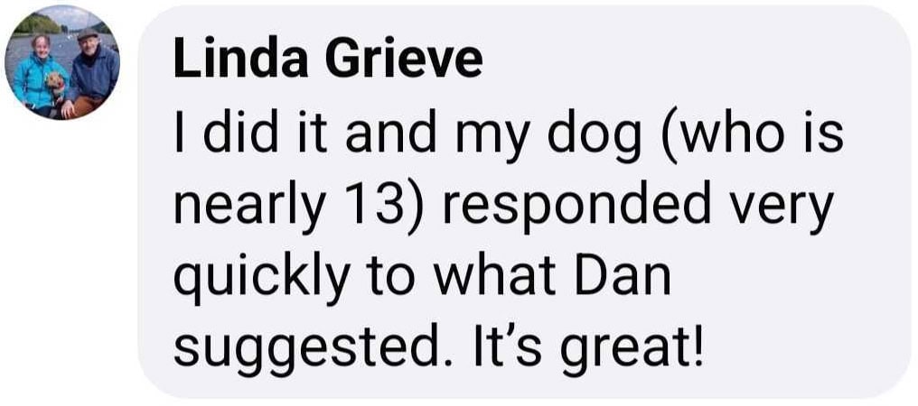 Linda's Doggy Dan review