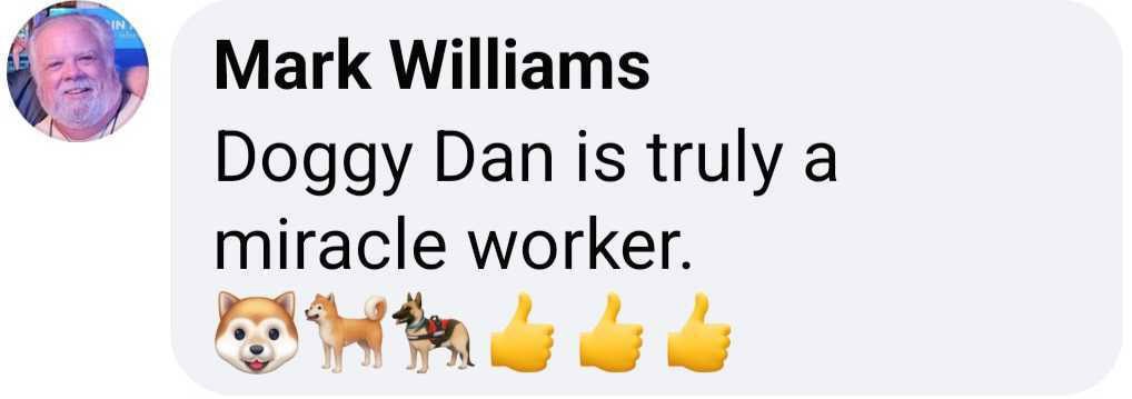 Doggy Dan review by Mark WIlliams