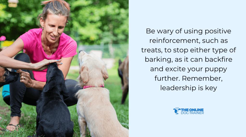 Why Does My Puppy Bark At Me: Playfulness vs Aggression - The Online ...