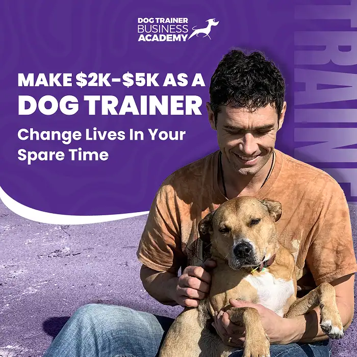 The Online Dog Trainer — socialization video course
