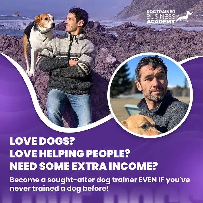The Online Dog Trainer — reward-based video training