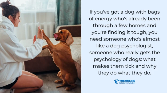 training tips online learning