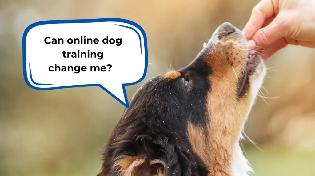 does online dog training work