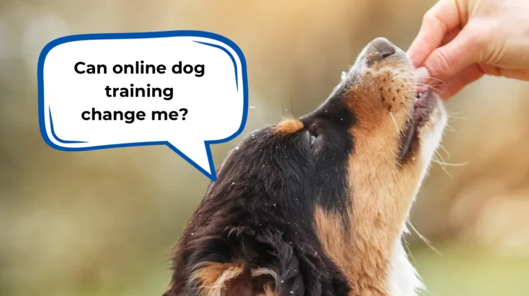 does online dog training work