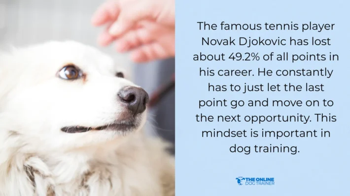 quotes about dog training