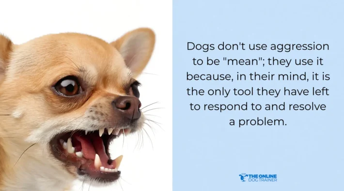 difference between reactivity and agression