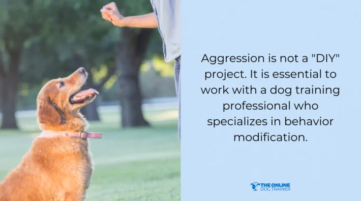 veterinary behaviorist