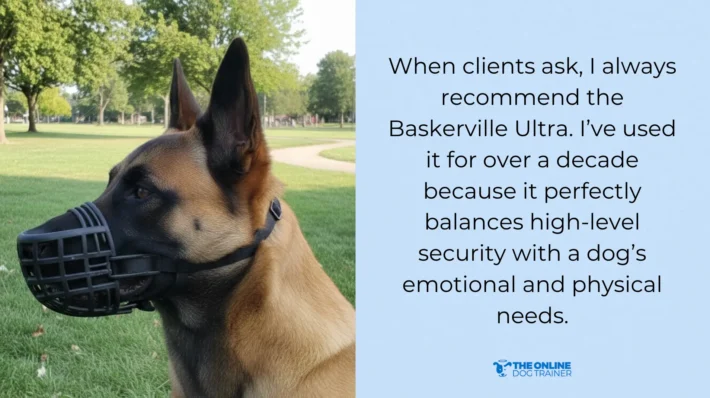 Baskerville Ultra dog muzzle