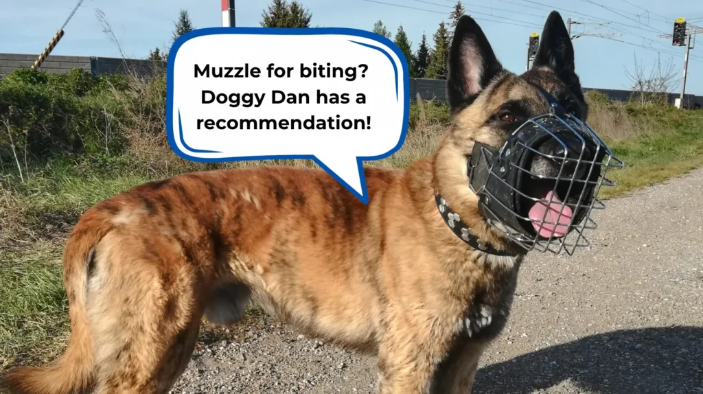 Best dog muzzle for biting