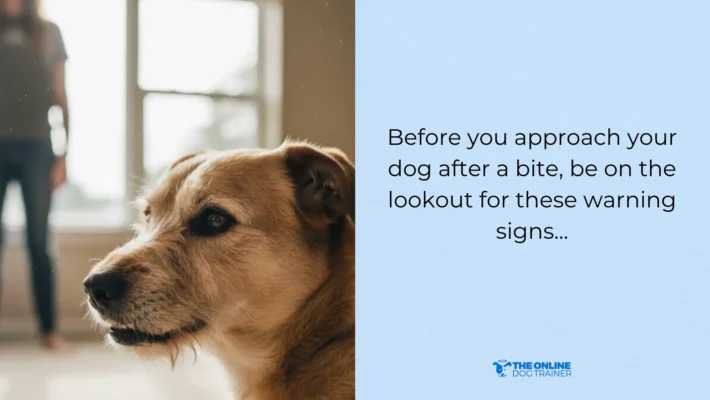 animal control signs of dog biting