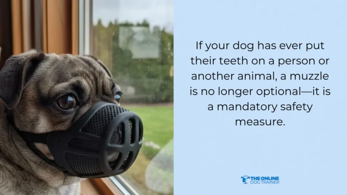 best muzzle for flat faced dogs