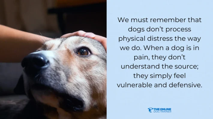 causes of dog biting pain