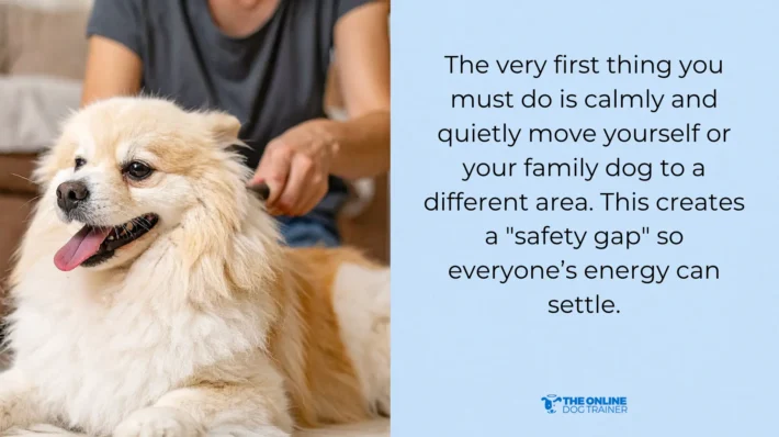 dog's collar separation