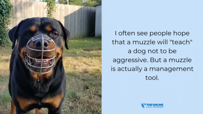 muzzle for dog's safety