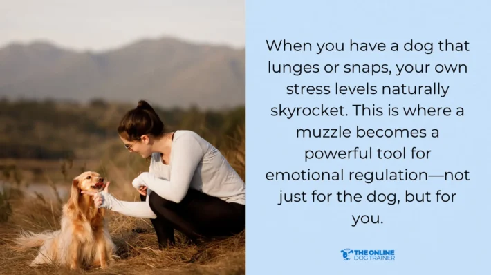 preventative tools dog barking