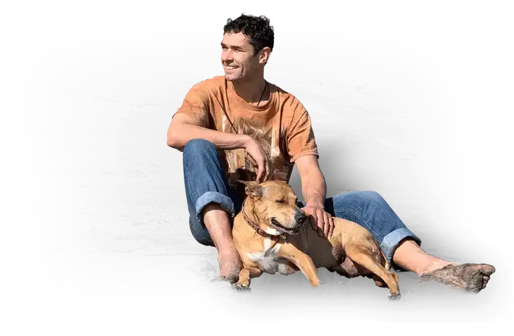 dog training program doggy dan