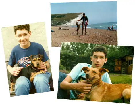 dog training program doggy dan