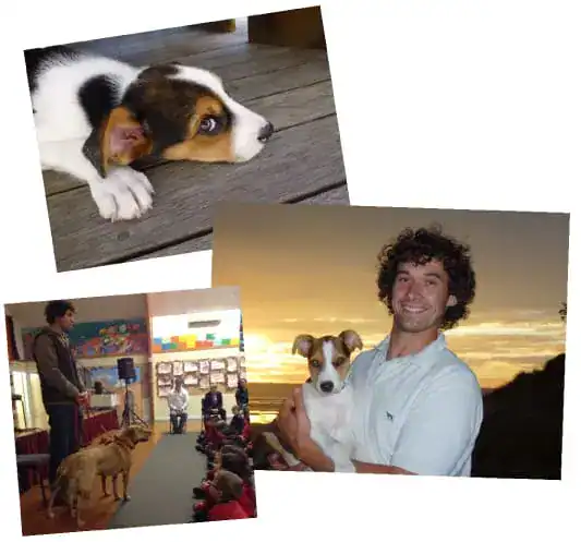 dog training program doggy dan