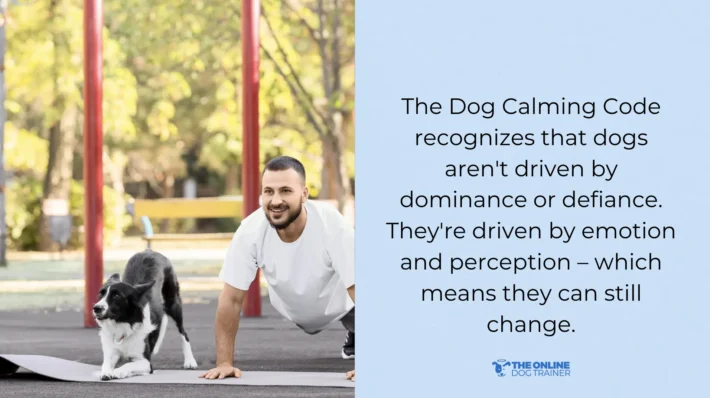 Doggy Dan Dog Calming Code