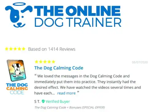 dog training program doggy dan