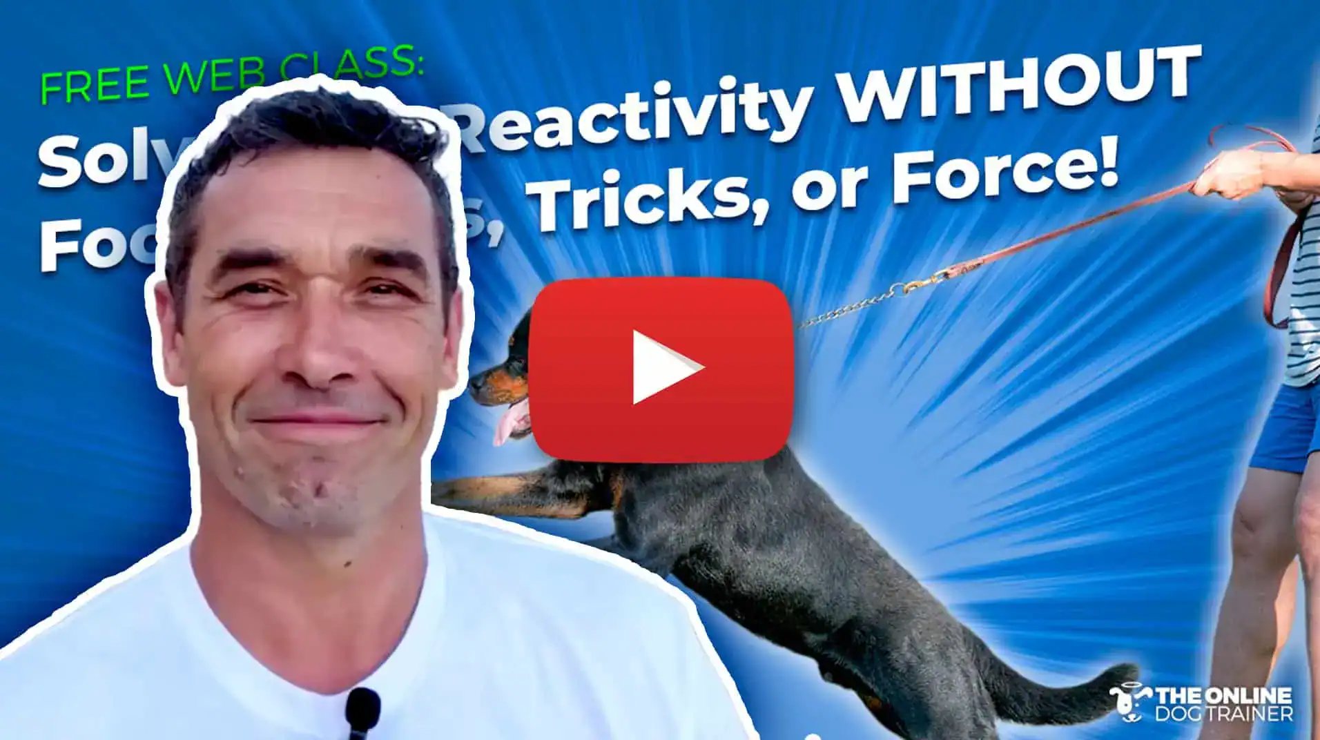 dog training program doggy dan