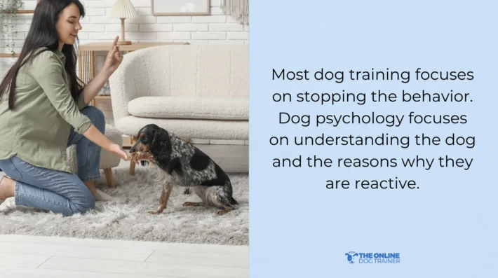 dog psychology