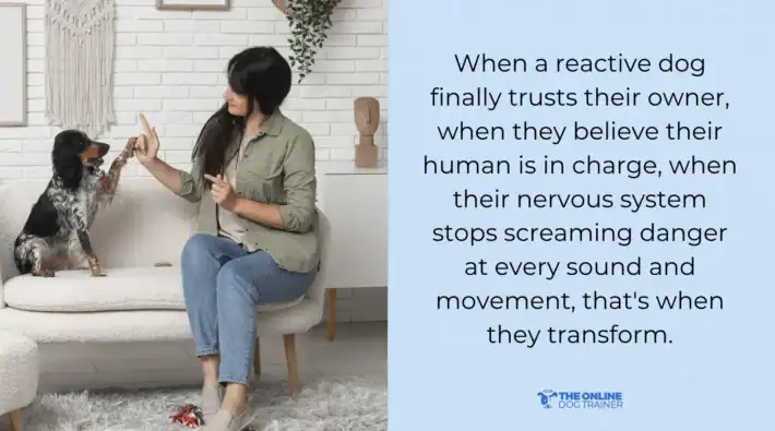 how to change dog behavior