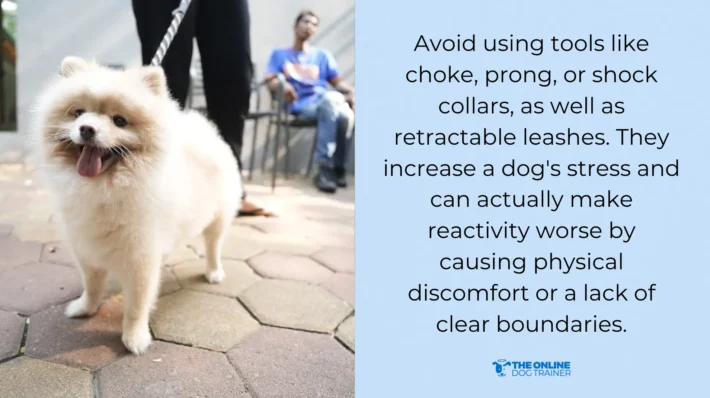 short leash dog training