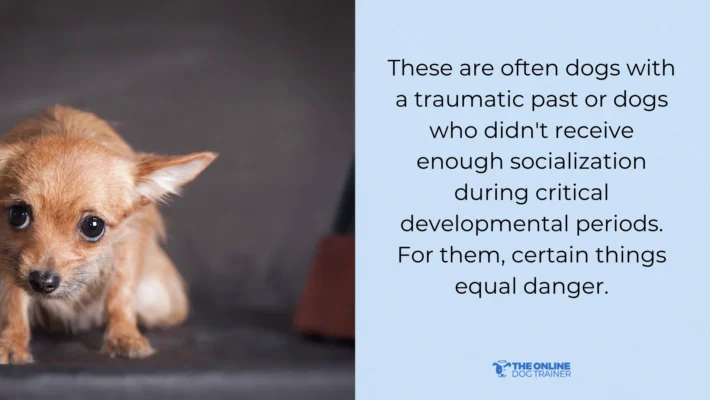 what is fear based reactivity