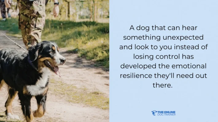 Dog acts differently outside the house