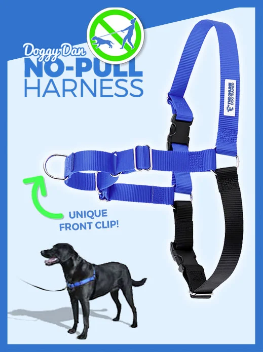  Doggy Dan's No-Pull Harness