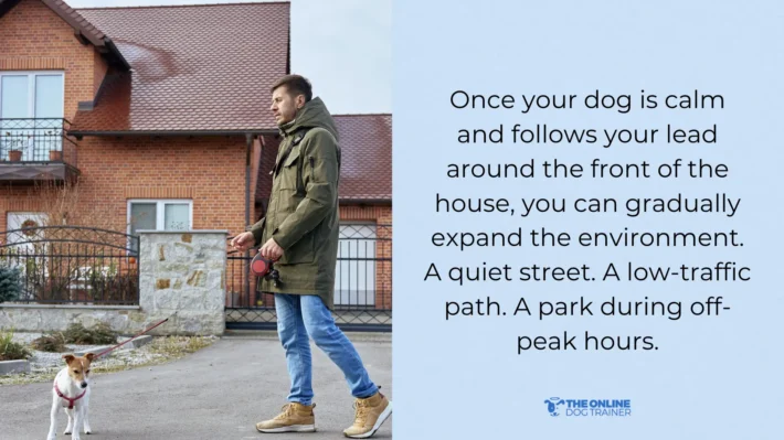 Dog’s public behavior