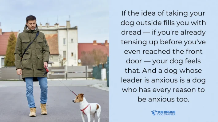 Teach a dog to behave outside the house