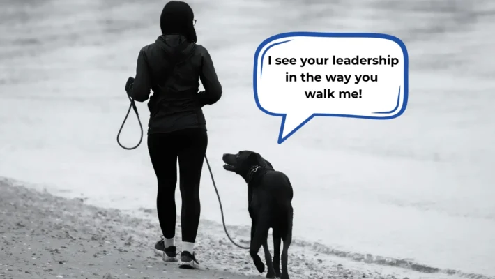 Tips for easier dog walks