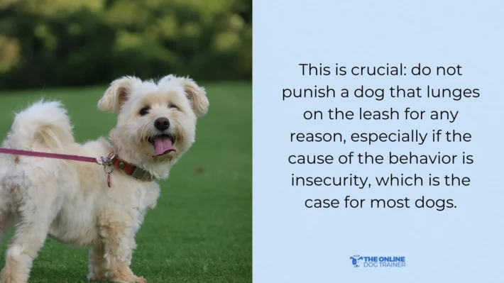 best way to train leash reactive dog