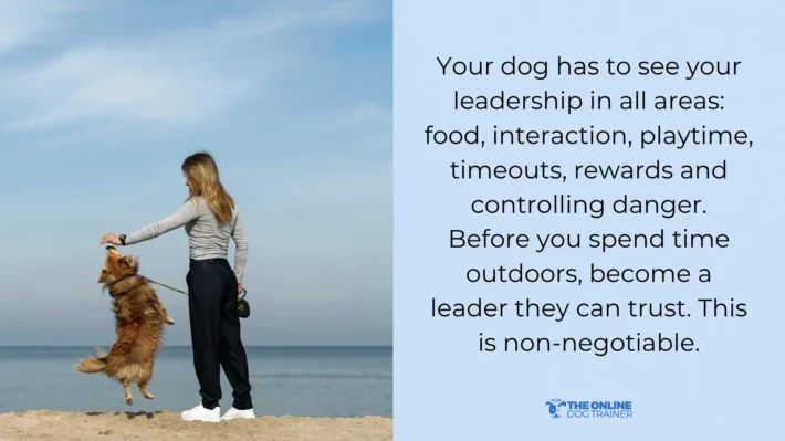 dog ignores commands outside