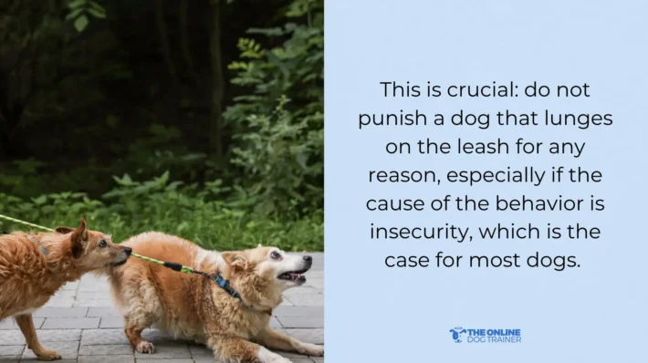 dog leash reactivity