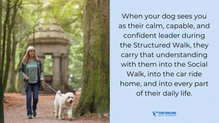 how do I make my dog listen to me during walks